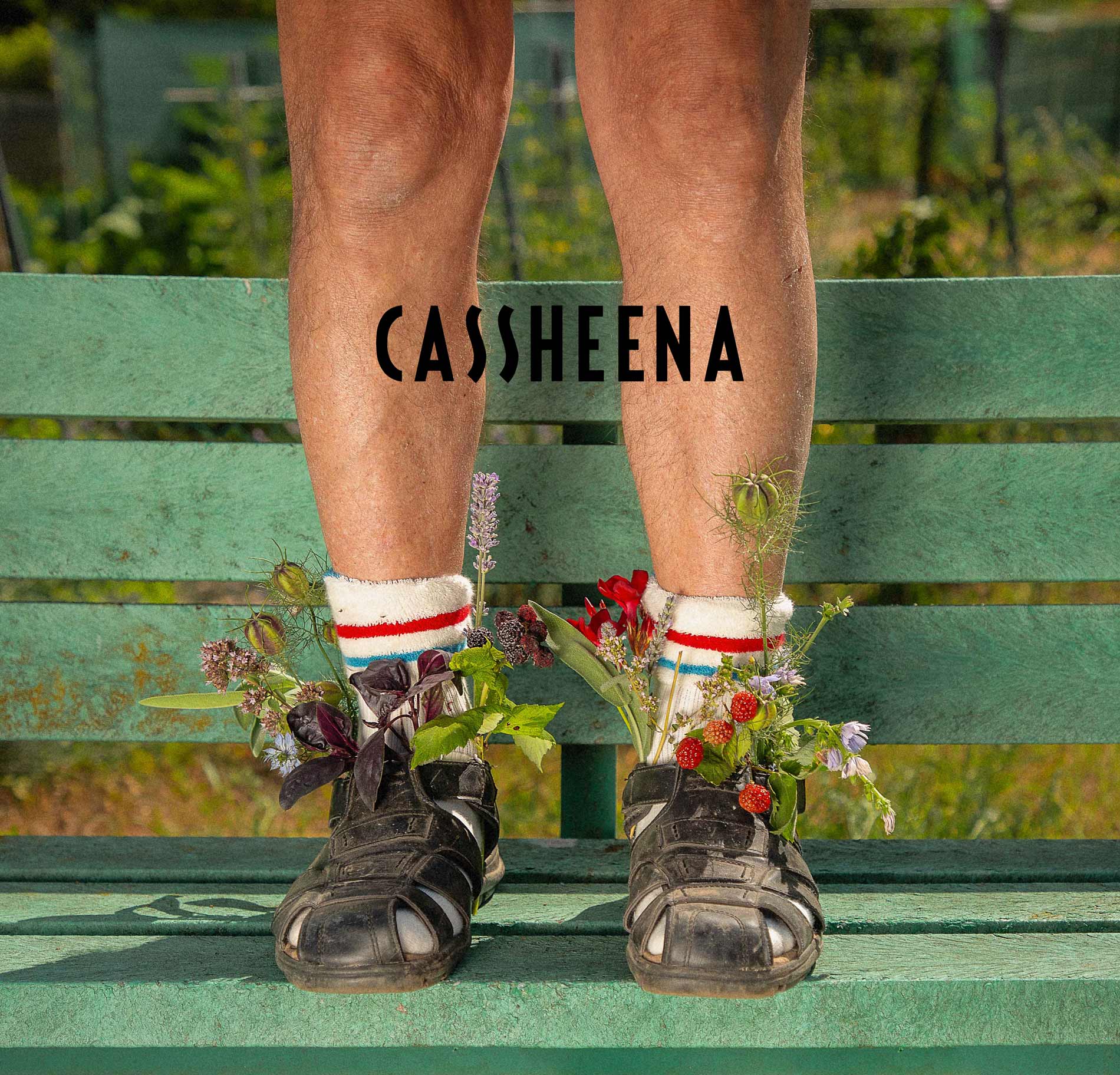 CASSHEENA