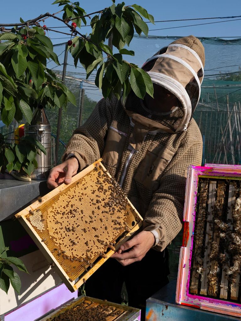 CASSHEENA — Biodiversity research center specialized in bees and honey